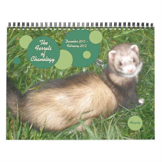 De fretten van de Chanologie Kalender (Hoes)