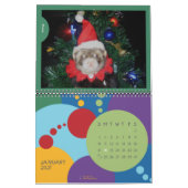 De fretten van de Chanologie Kalender (Jan 2027)