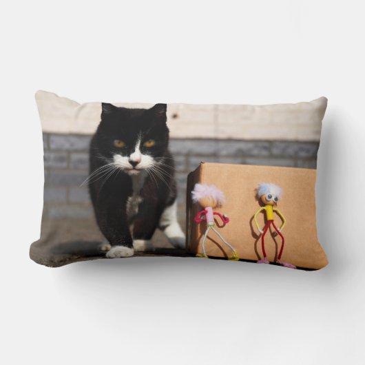 De Fubby's verstoppen zich voor de kat Ping. Kussen (Voorkant)
