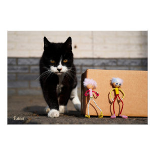 De Fubby's verstoppen zich voor de kat Ping. Perfect Poster