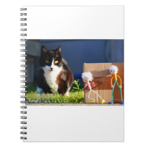De Fubby's verstoppertje spelen met Kat Ping. Notitieboek