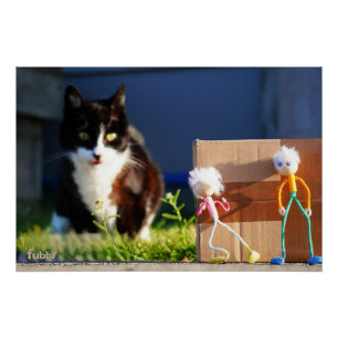 De Fubby's verstoppertje spelen met Kat Ping. Perfect Poster