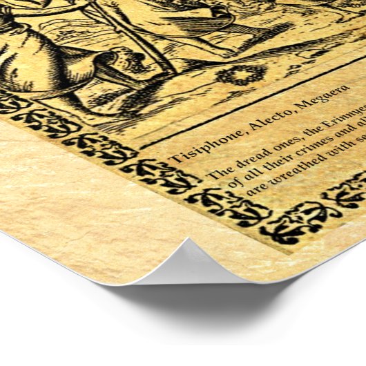 DE FURIES POSTER (Hoek)