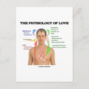 De fysiologie van de liefde (symptomen van de lief briefkaart