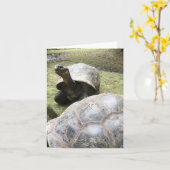 de Galapagos schildpad notecard #2 (spatie binnen) Kaart (Gele Bloem)