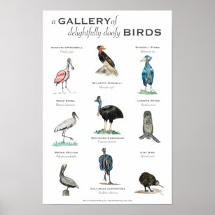 De galerij van schitterende vogels 11x17 poster