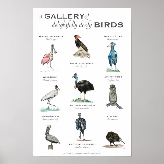 De galerij van schitterende vogels 11x17 poster (Voorkant)