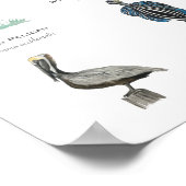 De galerij van schitterende vogels 11x17 poster (Hoek)