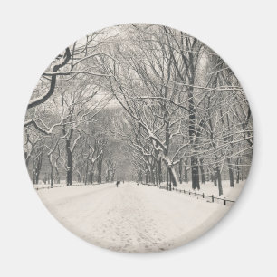 De Gang van de dichter - de Winter van het Central Magneet