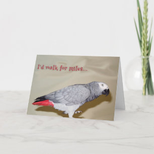 De Gang van de verjaardag voor Mijlen Kaart