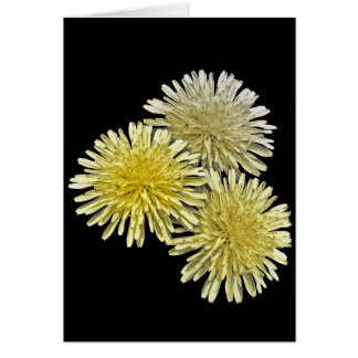 De gang van zaken in de buurt