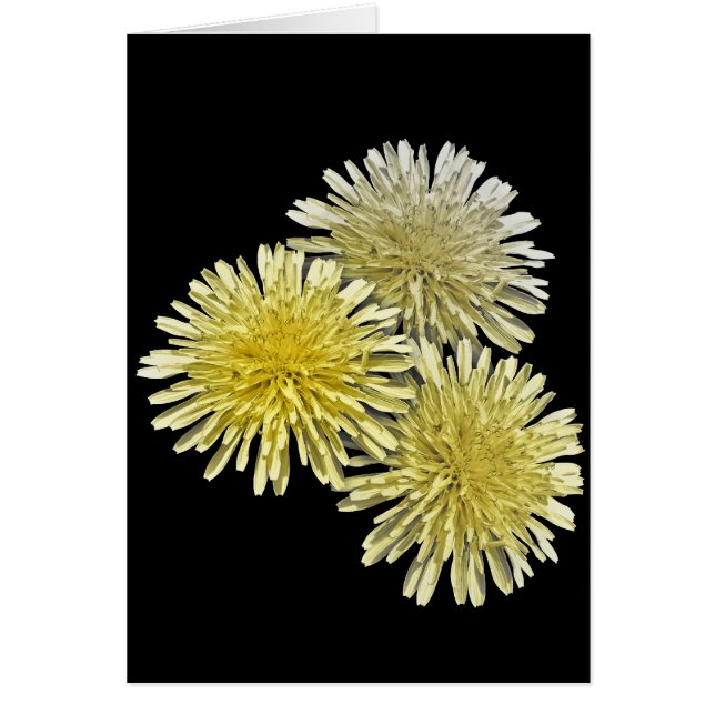 De gang van zaken in de buurt (Voorkant)