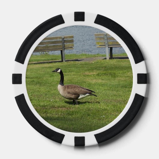 De Gans van Canada Pokerchips (Voorkant)