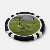 De Gans van Canada Pokerchips (Enkel)