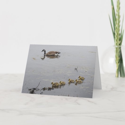 De Gans van de moeder en de kaart van het (Voorkant)