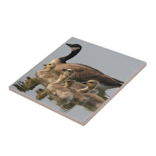 De Gans van de moeder en Haar Gansjes Tegeltje