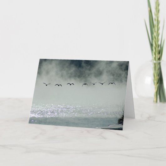 De ganzen nemen de Kaart van de Vlucht (Voorkant)