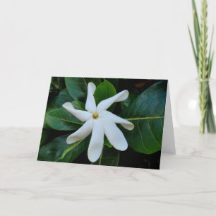 De Gardenia van Tahitian van Tiare Kaart