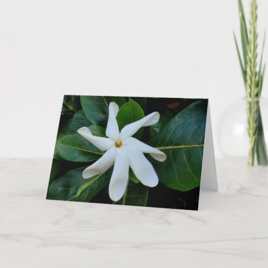 De Gardenia van Tahitian van Tiare Kaart (Voorkant)