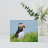 De Gatherer Puffin Briefkaart (Staand voorkant)