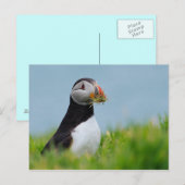 De Gatherer Puffin Briefkaart (Voorkant / Achterkant)