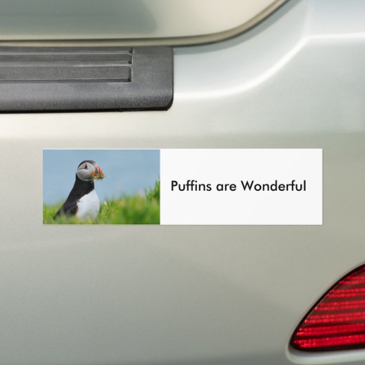 De Gatherer Puffin Bumpersticker (Op auto)