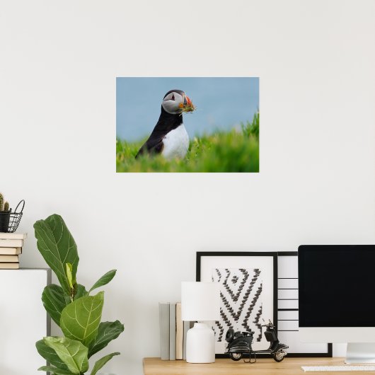 De Gatherer Puffin Poster (Thuiskantoor)