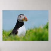 De Gatherer Puffin Poster (Voorkant)
