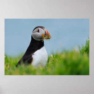 De Gatherer Puffin Poster
