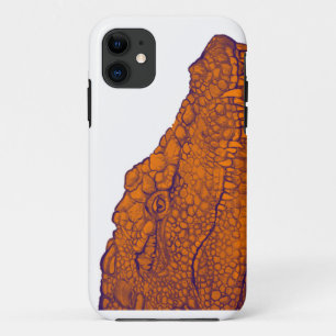 DE GATORS GLANCE iPhone 11 HOESJE