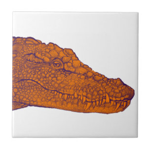DE GATORS GLANCE TEGELTJE