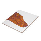 DE GATORS GLANCE TEGELTJE (Zijkant)