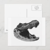 DE GATORS MAKe Briefkaart (Voorkant / Achterkant)