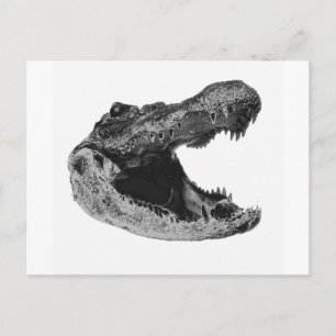 DE GATORS MAKe Briefkaart