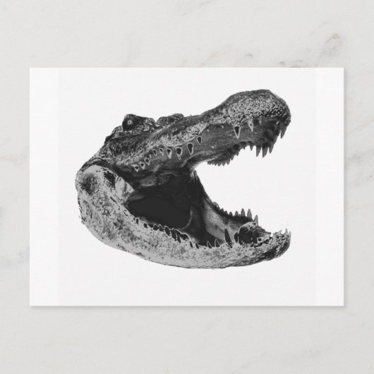 DE GATORS MAKe Briefkaart (Voorkant)