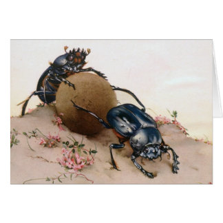 DE GEACRED BEETJE 2