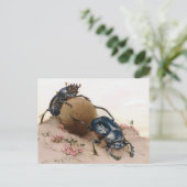 DE GEACRED BEETJE 2 BRIEFKAART (Staand voorkant)