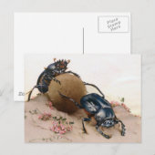 DE GEACRED BEETJE 2 BRIEFKAART (Voorkant / Achterkant)