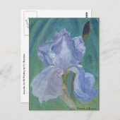 De Gebaarde Iris van de lavendel Briefkaart (Voorkant / Achterkant)