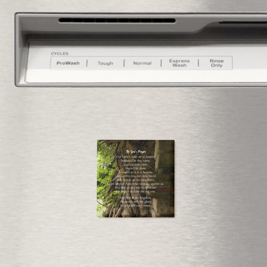 De gebedsmagneet van de Heer Magneet (Insitu (Vaatwasser))