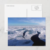 De gebieden van het ijs in de NoordpoolOceaan Briefkaart (Voorkant / Achterkant)