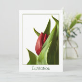 De geboorte van een Lente Rode Tulp - Sjabloon Kaart (Staand voorkant)