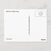 De geboorte van een Rode Lente Tulp Briefkaart (Achterkant)