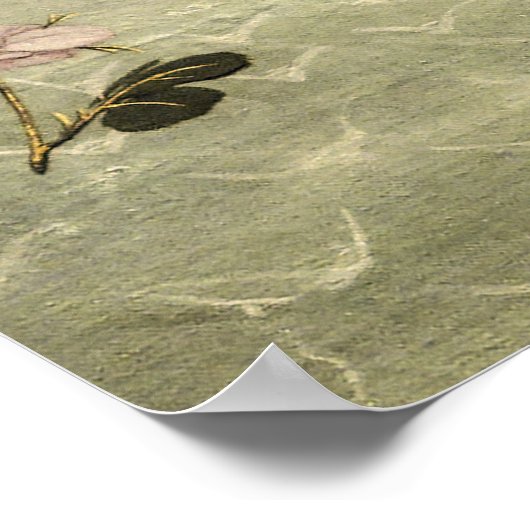 De geboorte van Venus door Sandro Botticelli Poster (Hoek)