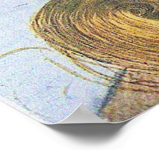 De geboorte van Venus door Sandro Botticelli Poster (Hoek)