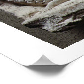 De geboorte van Venus (kalksteen) Poster (Hoek)