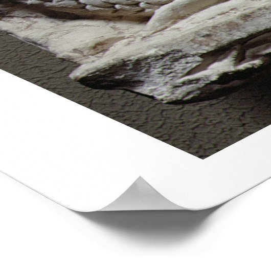 De geboorte van Venus (kalksteen) Poster (Hoek)