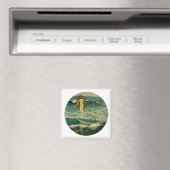 De geboorte van Venus Magneet (Insitu (Vaatwasser))
