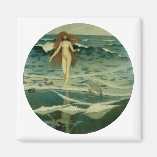 De geboorte van Venus Magneet (Voorkant)