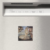 De geboorte van Venus Magneet (Insitu (Vaatwasser))